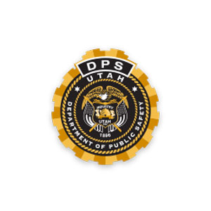 Logo - Department of Public safety