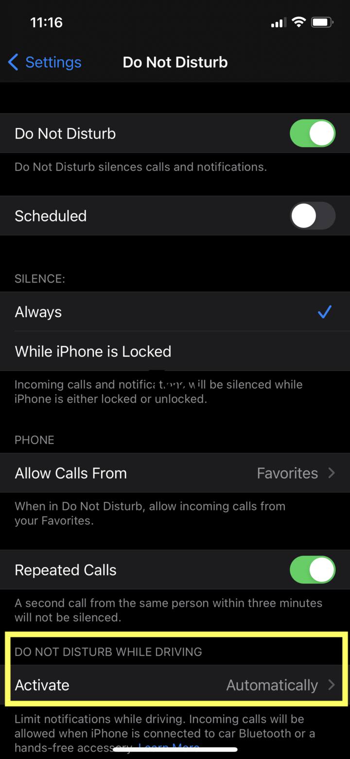 In the Do Not Disturb While Driving section, tap "Activate."